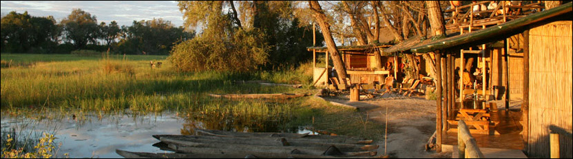 Oddballs
 Camp (Okavango Delta) Botswana - www.safaris101.com