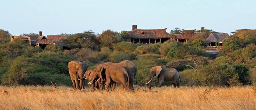 Ol Donyo Lodge (Amboseli National Park / Chyulu Hills Region) Kenya - www.safaris101.com