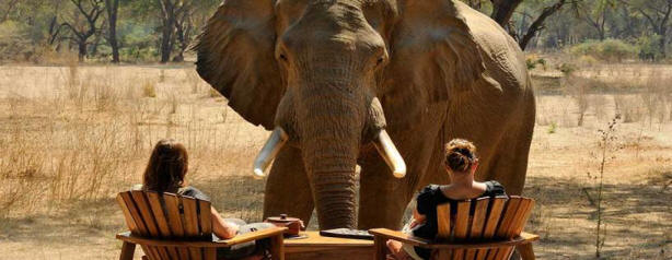 Old Mondoro Camp - www.safaris101.com