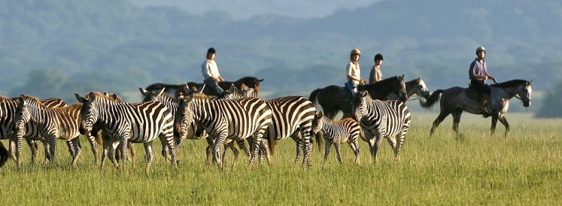 Ol Donyo Lodge (Amboseli National Park / Chyulu Hills Region) Kenya - www.safaris101.com