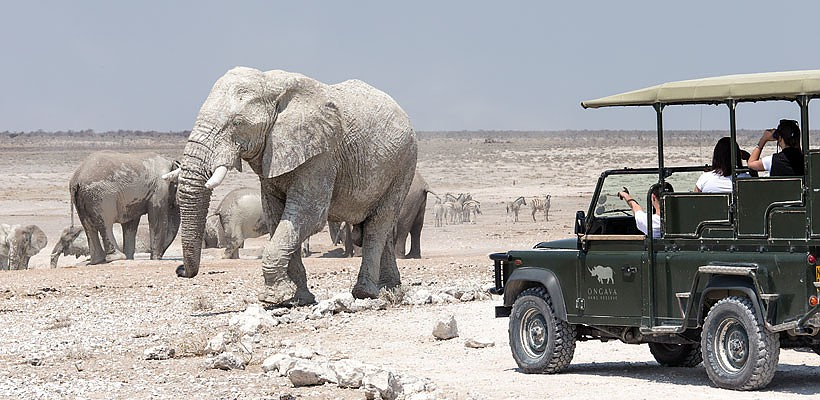 Ongava Lodge (Etosha Region) Namibia - www.photo-safaris.com