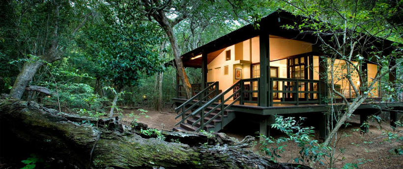 Phinda Forest Lodge (Phinda Private Reserve, KwaZulu, Natal) South Africa - www.safaris101.com
