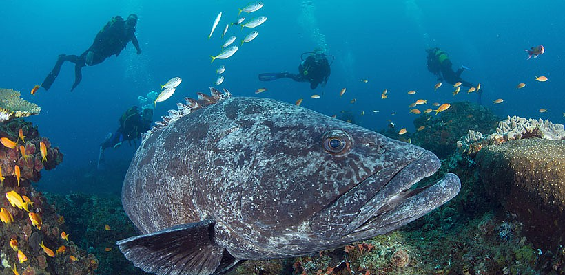 Rocktail Bay Beach Camp - www.safaris101.com