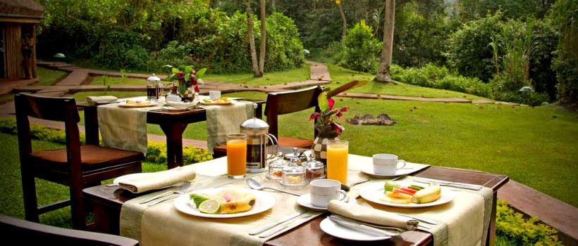 Sanctuary Gorilla Forest Camp (Bwindi Impenetrable Forest) Uganda - www.safaris101.com