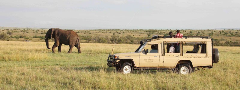 Making Tracks with Sarova Safari (7 Days) - www.safaris101.com