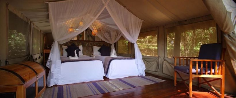 Making Tracks with Sarova Safari (7 Days) - www.safaris101.com