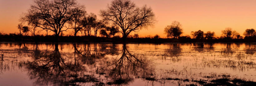 Shinde (Okavango Delta) Botswana - www.safaris101.com