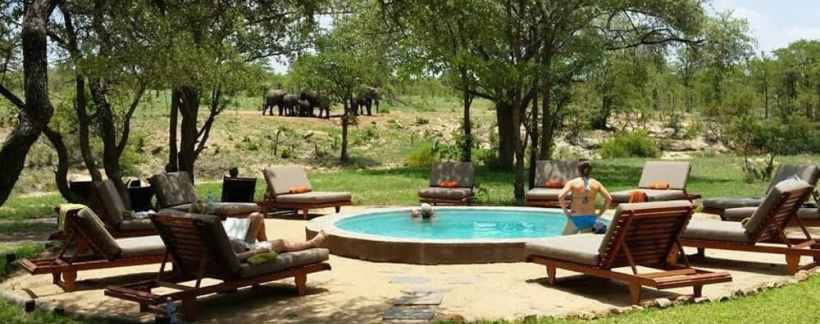 Shindzela Tented Camp (Timbavati Game Reserve) South Africa - www.safaris101.com