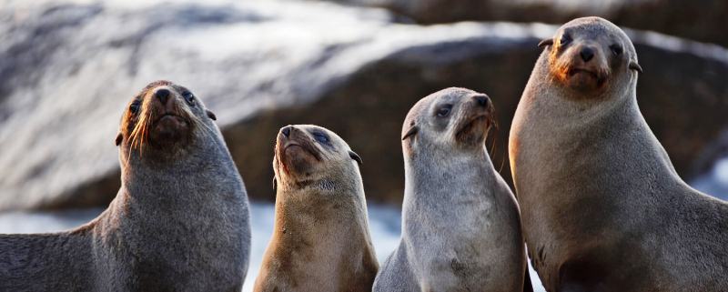 Shipwreck Lodge (Skeleton Coast Park) Namibia - www.safaris101.com