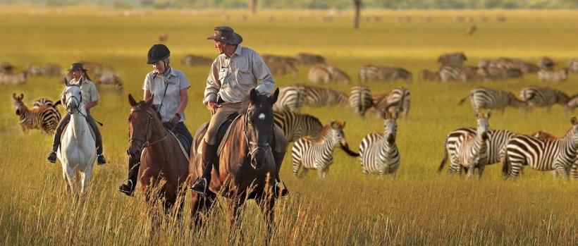 The Ultimate Tanzania Safari (9 Days) -  www.Africansafaris.Travel