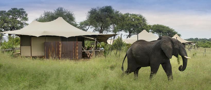 Somalisa Camp (Hwange National Park) Zimbabwe - www.safaris101.com