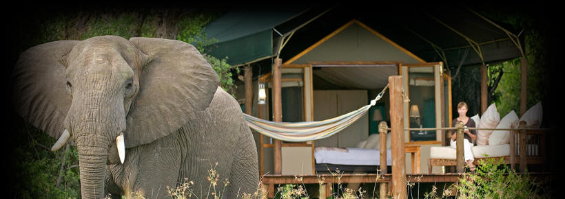 Sanctuary Sanctuary Stanley's Camp
(Okavango Delta) Botswana - www.safaris101.com