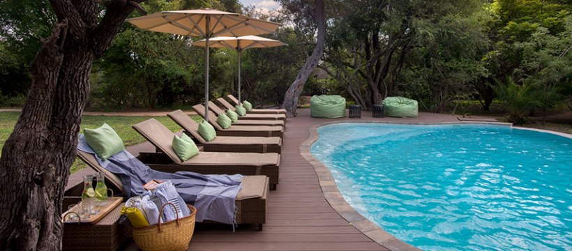 Tanda Tula Safari Camp (Timbavati Private Nature Reserve) South Africa - www.safaris101.com