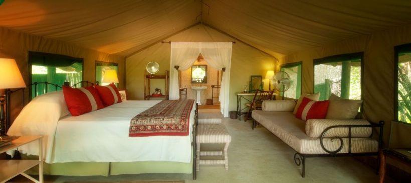 Tanda Tula Safari Camp (Timbavati Private Nature Reserve) South Africa - www.safaris101.com