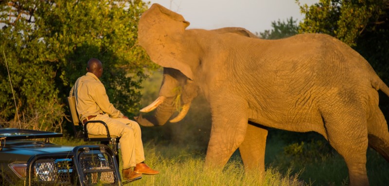 Thornybush Waterside Lodge (Thornybush Game Reserve) South Africa - www.Africansafaris.Travel