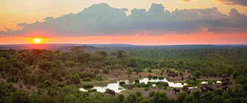 Victoria Falls Safari Lodge (Victoria Falls) Zimbabwe - www.safaris101.com