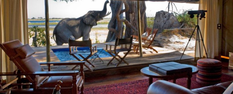Zarafa Camp (Selinda Reserve) Botswana - www.photo-safaris.com - Zarafa Camp - Pic by Dana Allen