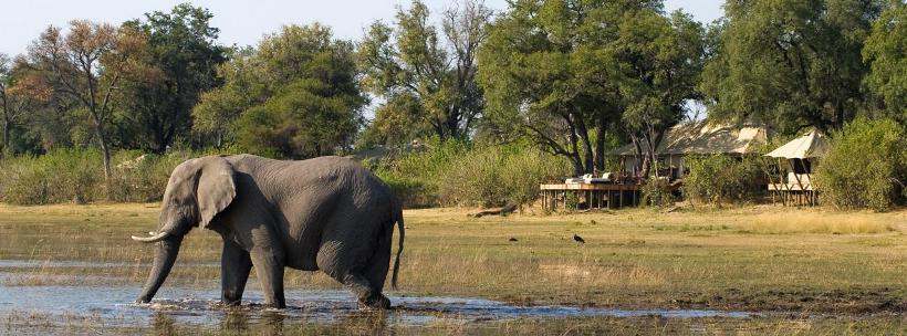 Zarafa Camp (Selinda Reserve) Botswana - www.photo-safaris.com